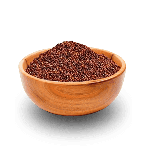 Finger Millet | Ragi