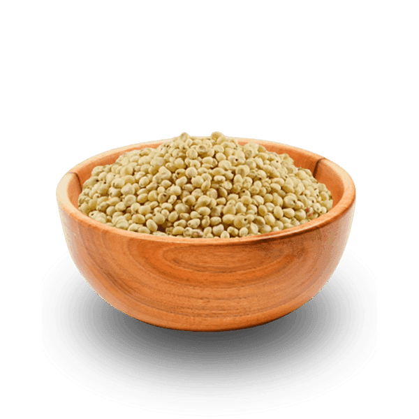 Sorghum Millet | Cholam